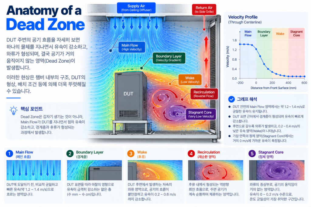Anatomy of a Dead Zone